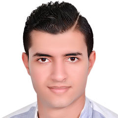 Hossam Maher Mansour, محاسب عام