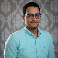 mohamed mahmoud, technical sales engineer