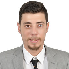 mohamed hassan, Sales Executive
