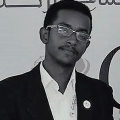 سعيد الطيب محمد الحسن الحسن, Freelance web and mobile app developer