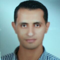 Ibrahim Gaber, Tracking & Custom Clearance Operation Manager