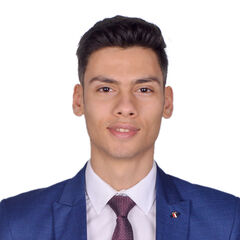Ahmed Abd El Halim Abd Elsalam