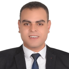 ayman mohamed abd el aziz badra