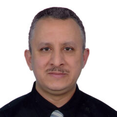hamdy auof haroon, Site Manager