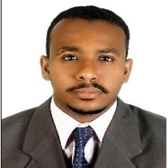 Al Moataz Mohammed Al Makke Al Basheer, PROJECTS ENGINEER