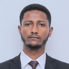 Dawit mengistu