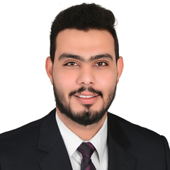 Ibrahim Fathy