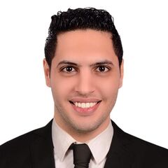 Mohamed MezoLaFerrari