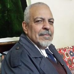 AH.Amin farrag, مدير تطوير مبيعات الموزعين