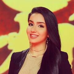 Sima Bagheri, Technical Project Manager