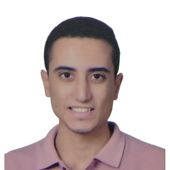 محمد عبدالعال, Electrical Engineer