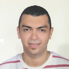 محمد الشناوي, Construction Manager