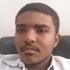 Wail SeerElkhatim Ahmed AbdElrahman, IT Administrator