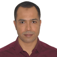 Mahmoud Rashwan, Project Procurement Manager
