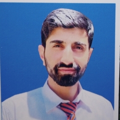 Waseem  Hussain , Accountant
