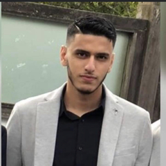 أحمد المرواني, Associate Program Officer