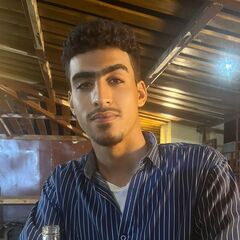 Amr Hussein