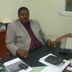 Mohamed Abbadi, Accounting Department Manager