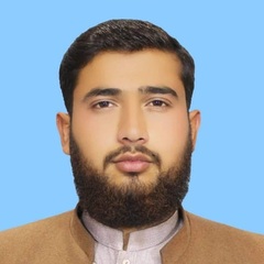 Syed Faizan  Shah