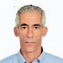 Rabeh Tlili, travel agency manager