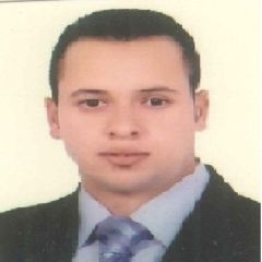 Mahmoud Atya, civil Project engineer 