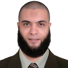 عمر سليمان, Audit supervisor