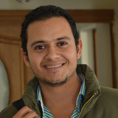 Mohamed Hussein Mohamed EL-Daramally, Senior Civil Engineer