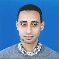 Ramy Mahmoud, Wintel Engineer