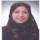 nermine amin, Software project manager