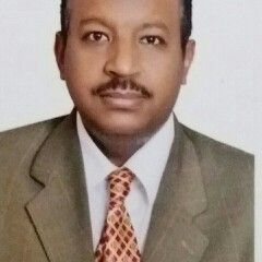 Mohammed Mikki, Finance Manager