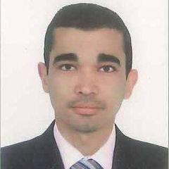 تامر محمد توفيق أحمد الطويل, مهندس موقع