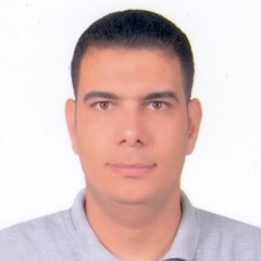 Ahmed Fahmy Salh El-sayed, Civil Project Manager