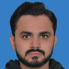 Talal Tahir Malik, Software Engineer