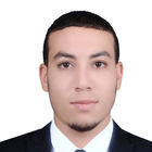Amr El-sayed Amer, Data Entry on ERP and DRS Programs