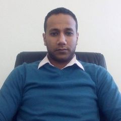 OSAMA MOHAMED AL-ASHMAWI, Network Administrator