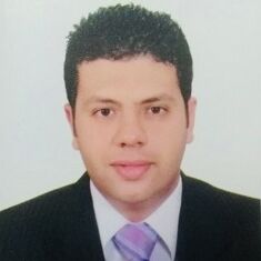 Sherif Mohamed Abd El Moteleb, Project Manager