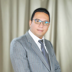 عمرو خليفة, External Auditor and consultant