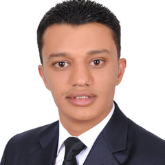 محمد عبدالودود محمد السنحاني, Petroleum Engineer