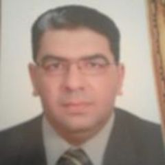 Hussein Mohmed Ahmed Hassaneen hassaneen, مستشار قانوني