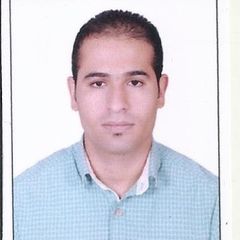 mohammed ahmed tantawy, Store Manager