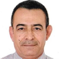 Mohammed  Enab, Senior Consultant - roads & bridges