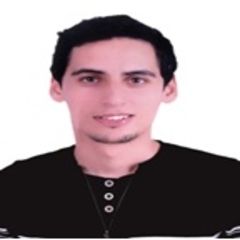 أحمد المصطفى  أمزان, Technicien specialise en informatique
