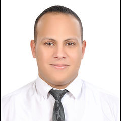 Wael Ashmawy, Laboratory Supervisor