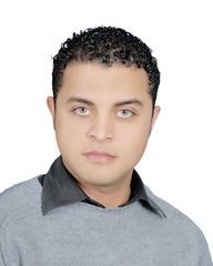 Mohammed Gaber, Representative