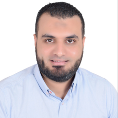 عمر فتحي, dot net software developer