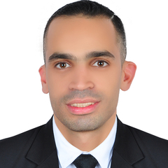 amr riyad, Lawyer