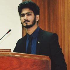 Usman Malik, software developer