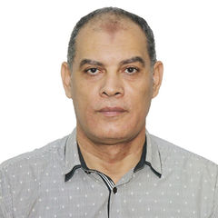 Ayman Hassnain  Ali, Internal Audit Manager (Reporting to Audit Committee)