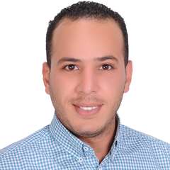 Mohamed Gabr, Instrument & Control Technician (Maintenance)