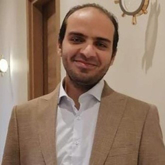 Elsayed Mosalem